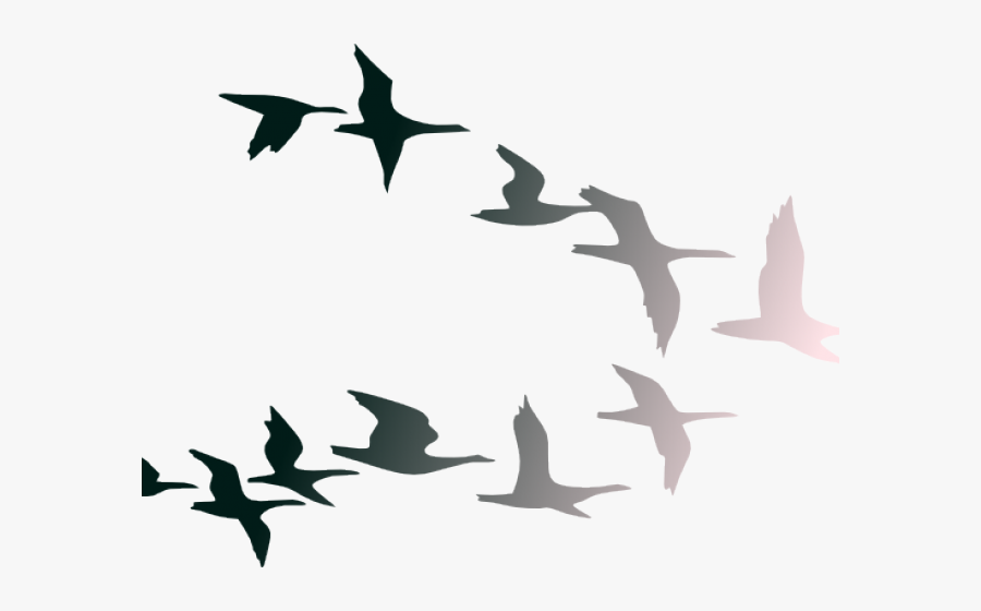 Transparent Migration Clipart - Colorful Birds Flying Png, Transparent Clipart