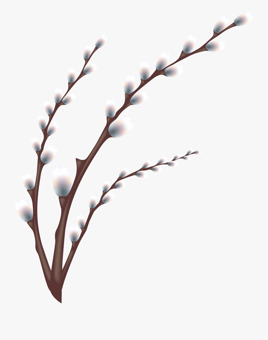 Transparent Olive Branches Png - Easter Willow Png, Transparent Clipart