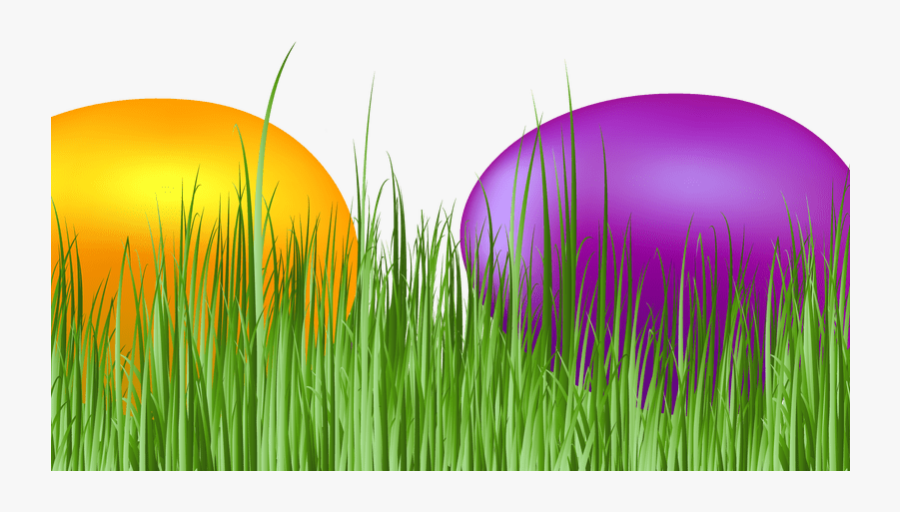 Easter Grass Eggs Png Download Image - Grass, Transparent Clipart