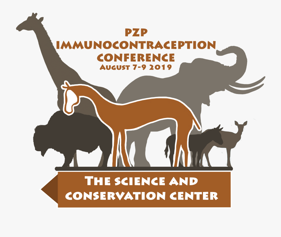 Immunocontraception , Free Transparent Clipart - ClipartKey