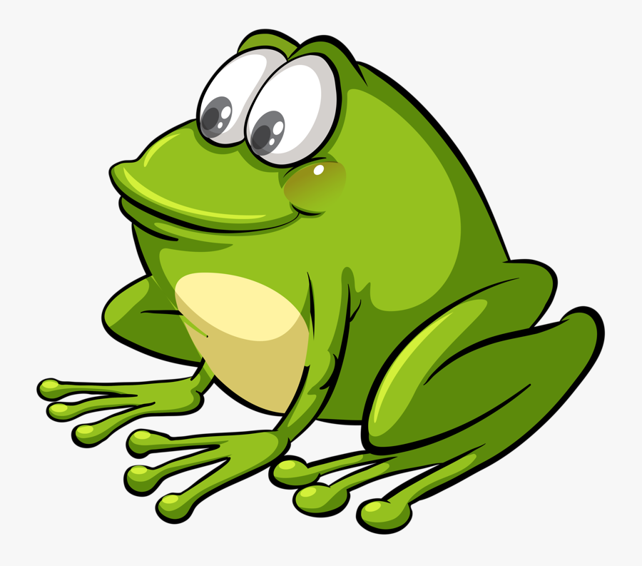 Frog Flashcard, Transparent Clipart