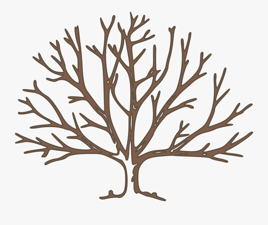 Transparent Winter Leaves Clipart - Tree With 10 Branches, Transparent Clipart