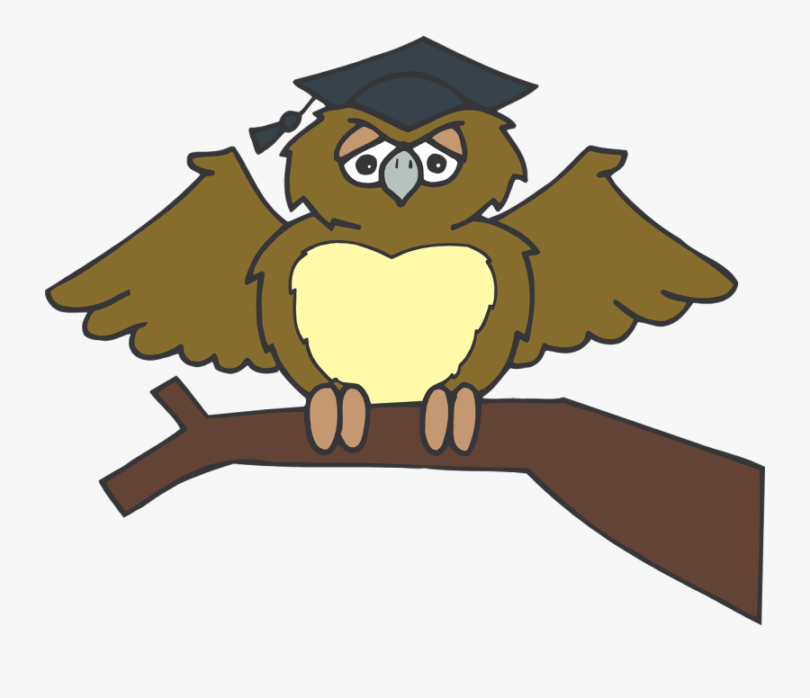 Owl, Graduate, Sitting, Tree, Branch, Brown, Wearing - Laurea Tocco, Transparent Clipart