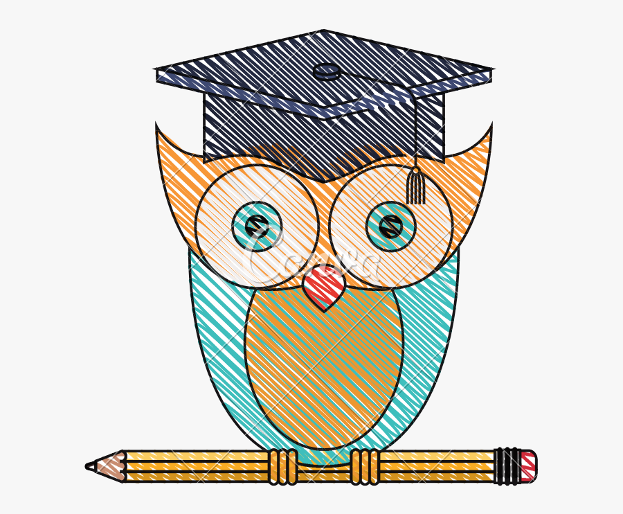 Knowledge Owl With Pencil - Illustration, Transparent Clipart
