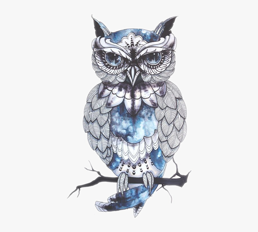 Owl Drawing Artist Bird Tattoo Png Free Photo Clipart - Owl Png, Transparent Clipart