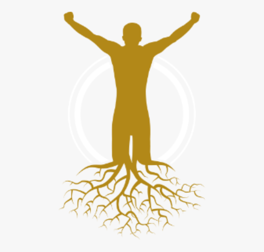 Image - Tree With Roots, Transparent Clipart