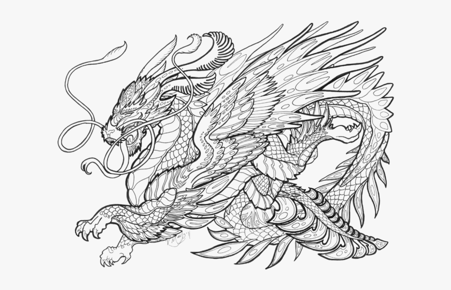 Transparent Medieval Dragon Clipart Black And White - Complex Dragon Coloring Pages, Transparent Clipart