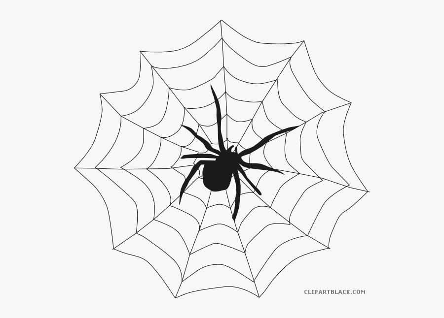 Black And White Halloween Pictures - Spider With Web Drawing, Transparent Clipart