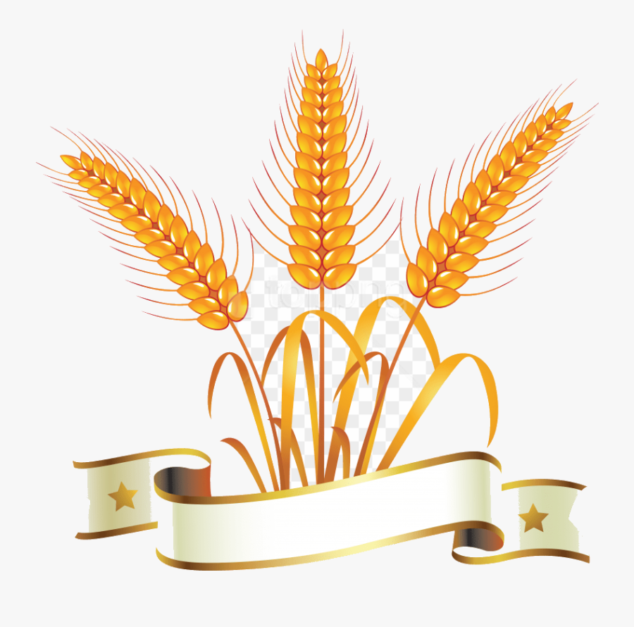 Wheat Clipart Gold Graphics Illustrations Free On Sgci - Gold Wheat Logo Png, Transparent Clipart