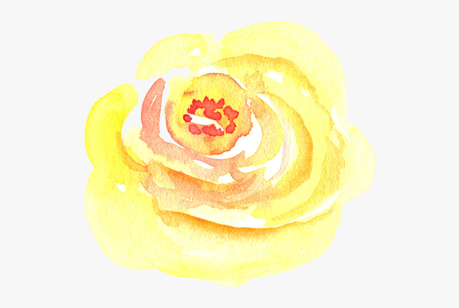 Yellow Rose Drawing - Auntie Tay Watercolor Flowers, Transparent Clipart