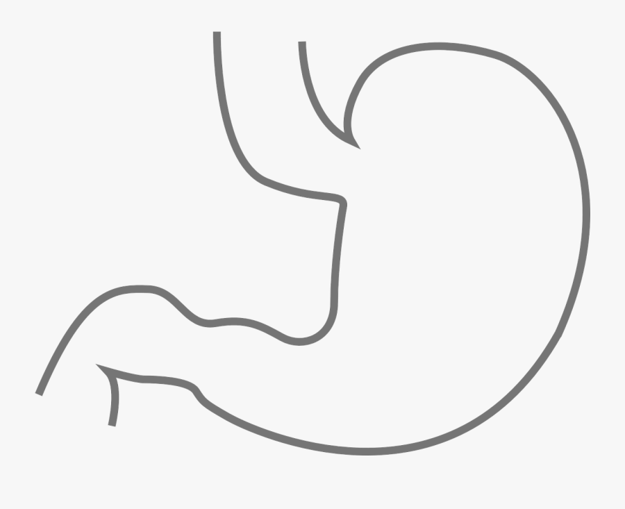 Thumb Image - Stomach Black And White, Transparent Clipart