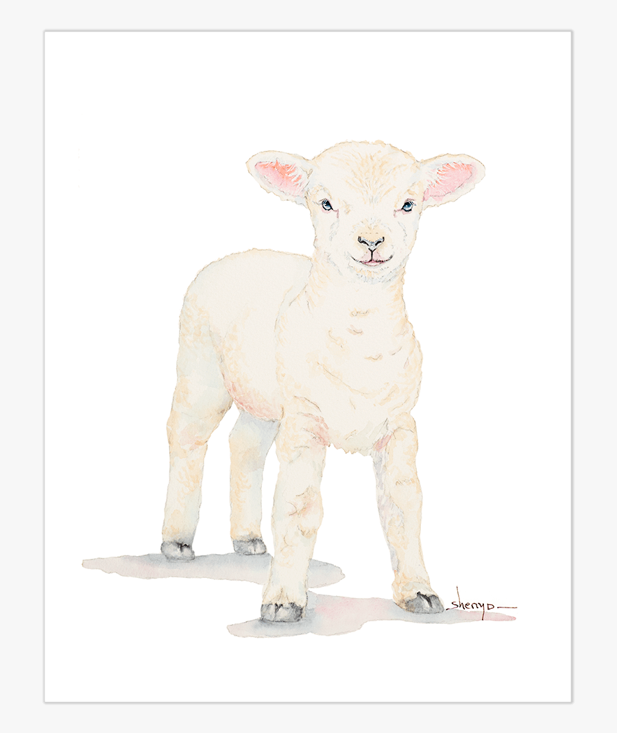 Clip Art Baby Animal Portraits - Baby Lamb Paintings, Transparent Clipart