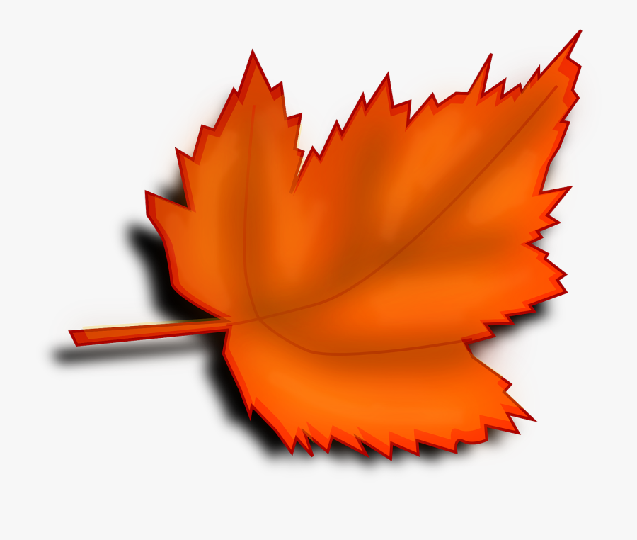 Maple Leaf, Transparent Clipart