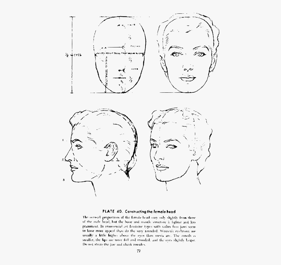 Andrew Loomis Drawing The Head And Hands 70 - Andrew Loomis, Transparent Clipart