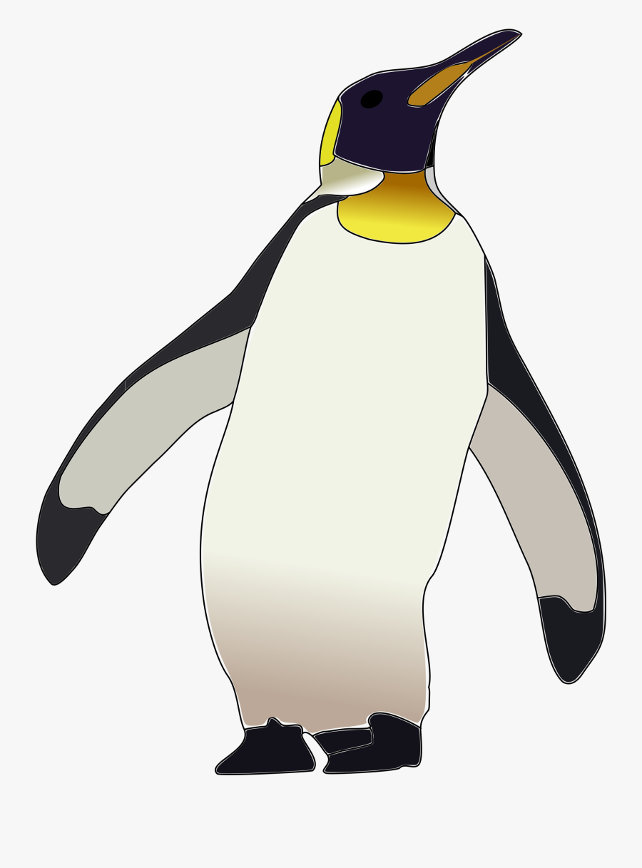 Emperor Penguin Penguin Clipart, Transparent Clipart