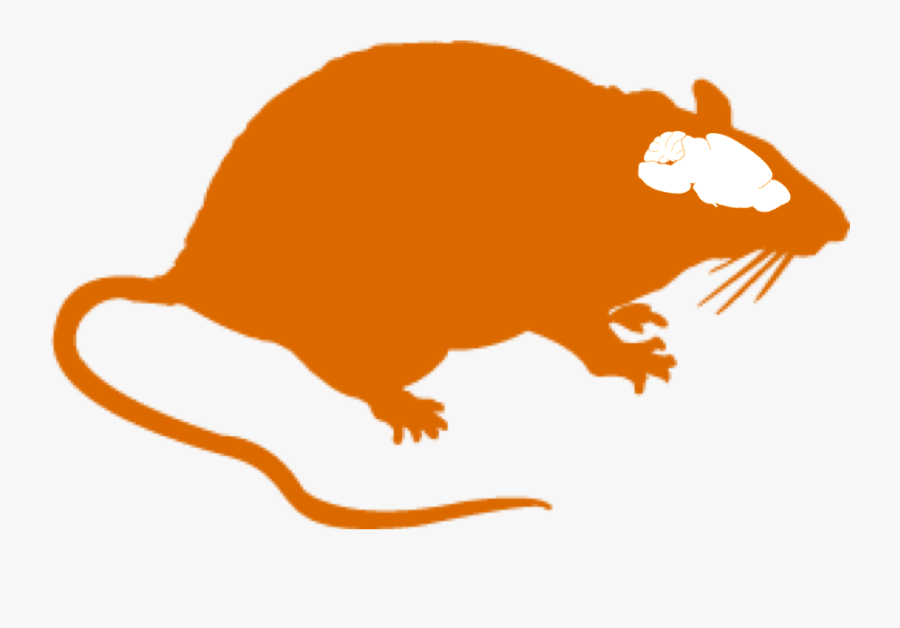 Transparent Mice Clipart - Rat Sticker Png, Transparent Clipart