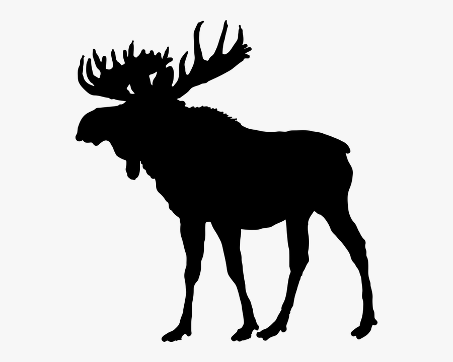 Moose Clip Art, Transparent Clipart
