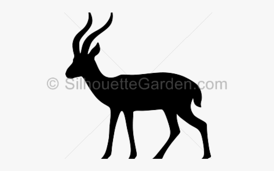 Thomson's Gazelle, Transparent Clipart