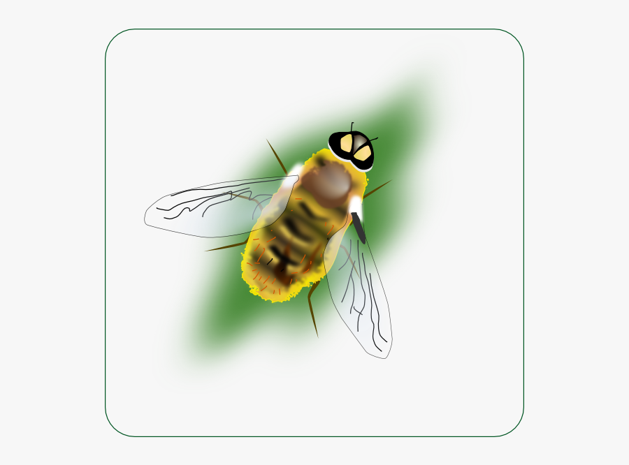 This Free Clip Arts Design Of Digital Bee Art - Bee Clipart, Transparent Clipart