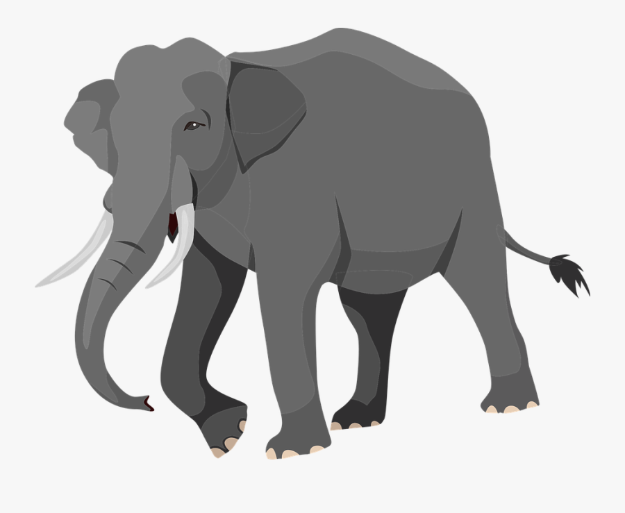 Gajah Png, Transparent Clipart