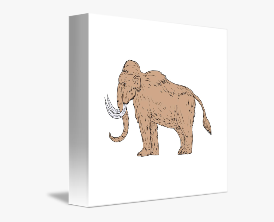 Woolly Mammoth Side Drawing - Indian Elephant, Transparent Clipart