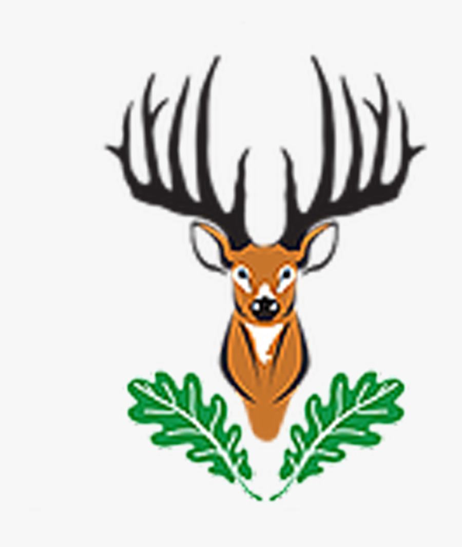 Elk, Transparent Clipart