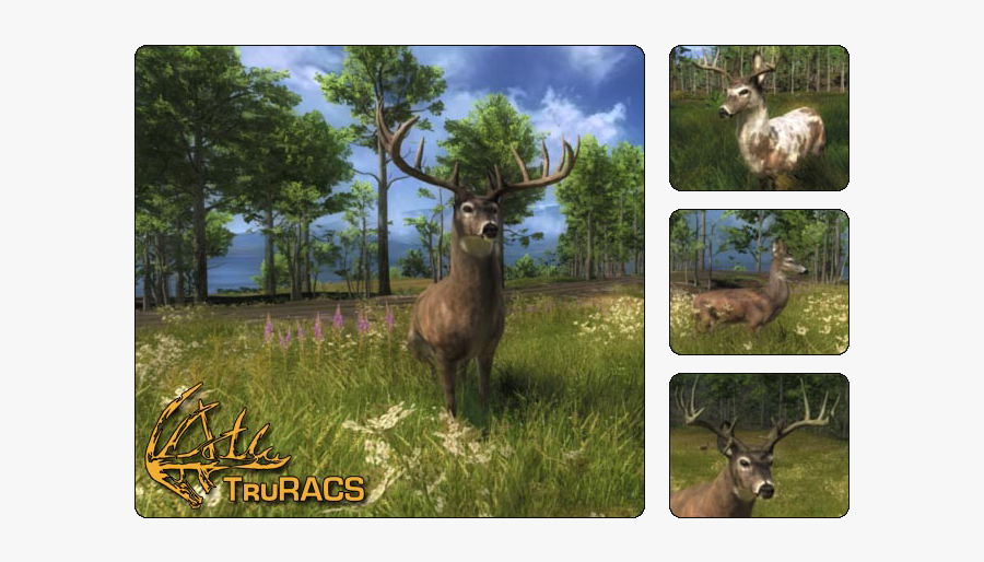 Thehunter Wikia - Elk, Transparent Clipart