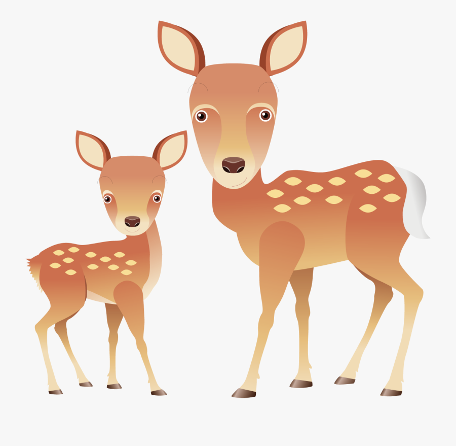 Fawn Drawing White Tailed Deer - Deer, Transparent Clipart