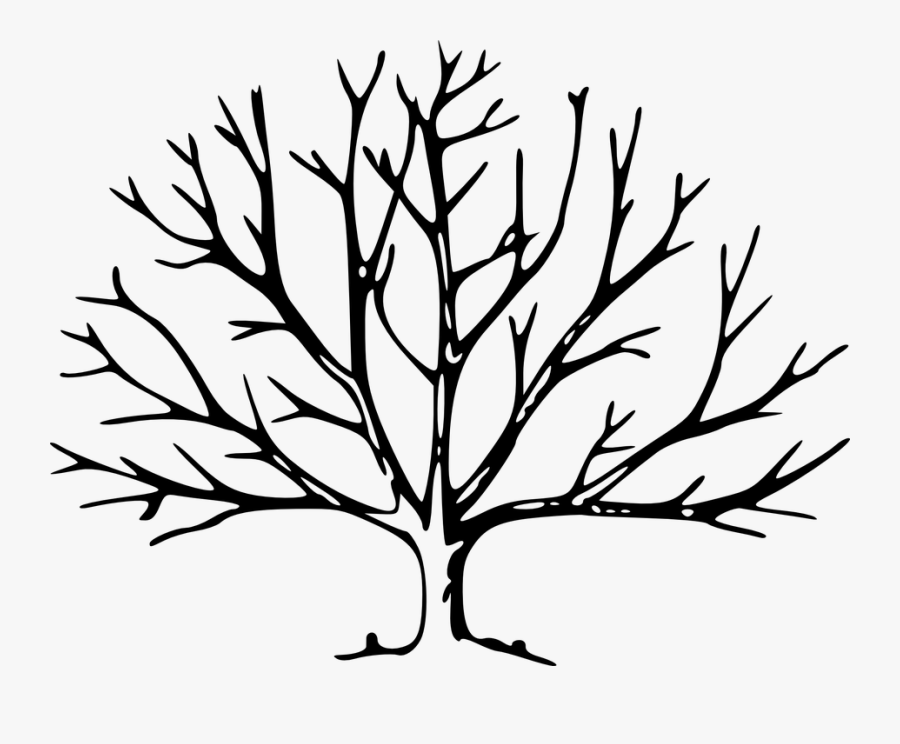 Transparent Leaving The House Clipart - Leave Less Tree Drawing, Transparent Clipart