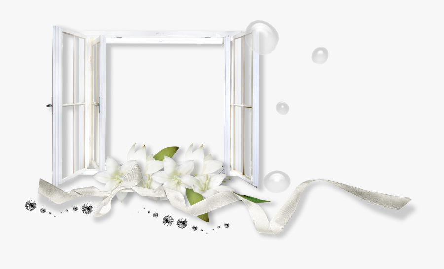 Window Frame Png - Frame White Flowers Png, Transparent Clipart