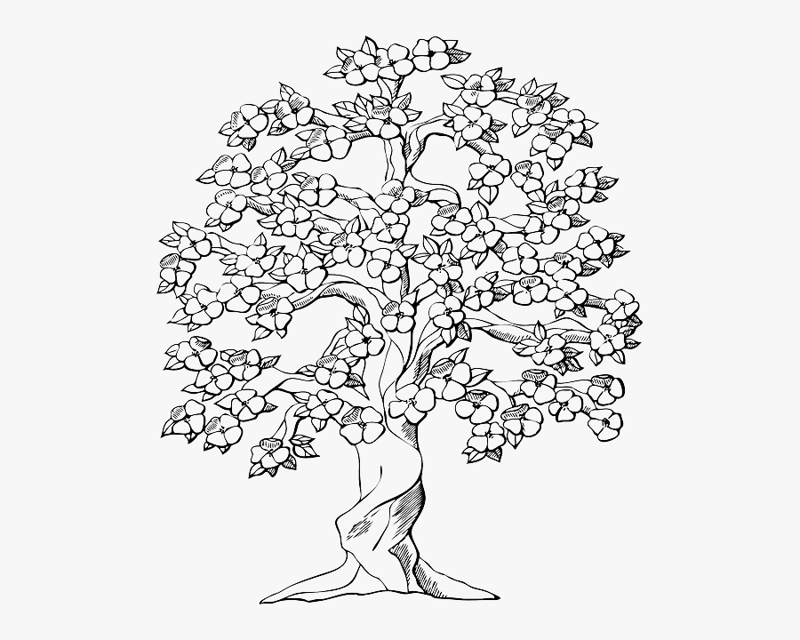 Free Vector Graphic - Drawings Of Trees With Flowers, Transparent Clipart