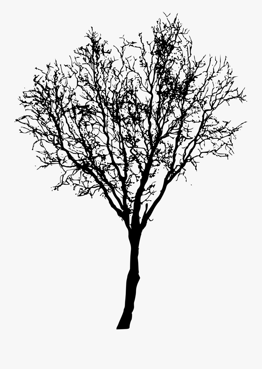 Tree Silhouette 2 - Png Tree Silhouette, Transparent Clipart