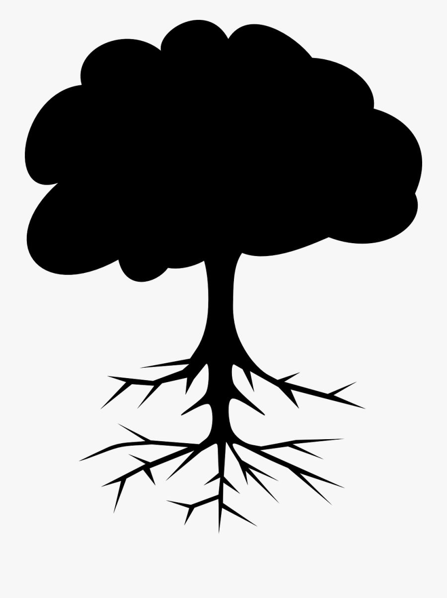 Transparent Tree Section Png - Parts Of Tree Name, Transparent Clipart