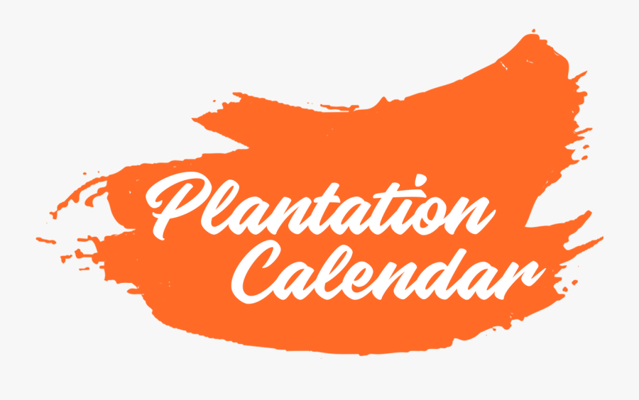 Plantation Calendar - Illustration, Transparent Clipart