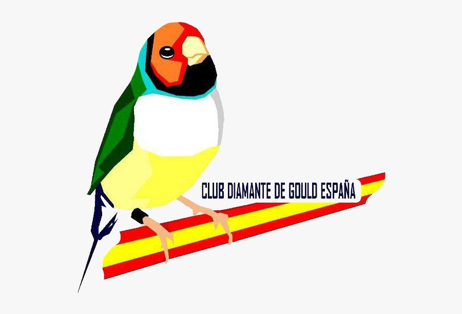 Clip Art Diamante Gould - Finch, Transparent Clipart