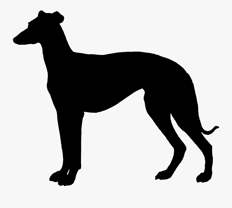 Transparent Dog Head Silhouette Png - Greyhound Png, Transparent Clipart