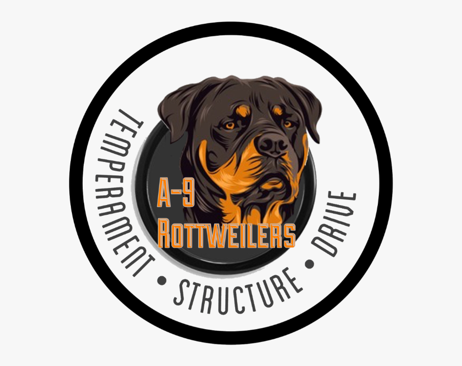 Rottweiler, Transparent Clipart