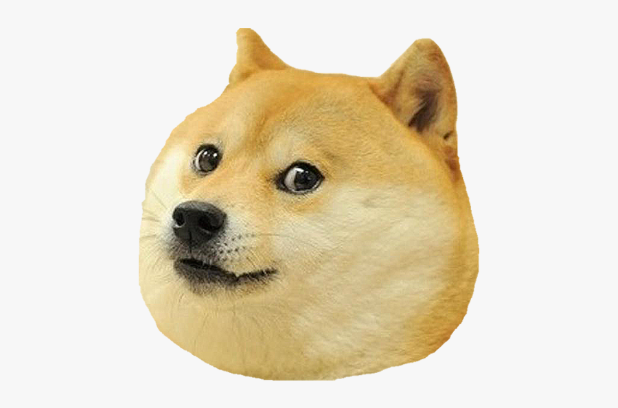 Dog Head Png - Dog Meme Face Png, Transparent Clipart