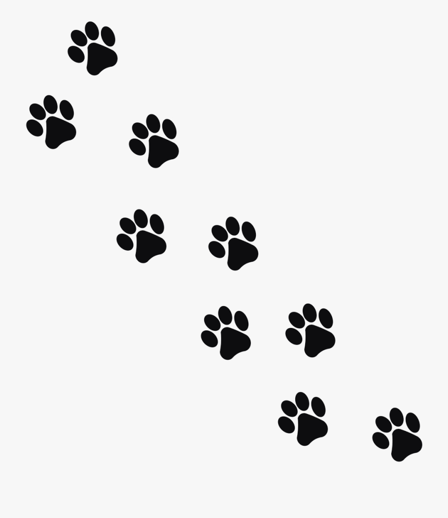 Footprint Animal Cat Png Image - Paw Prints Transparent Background, Transparent Clipart