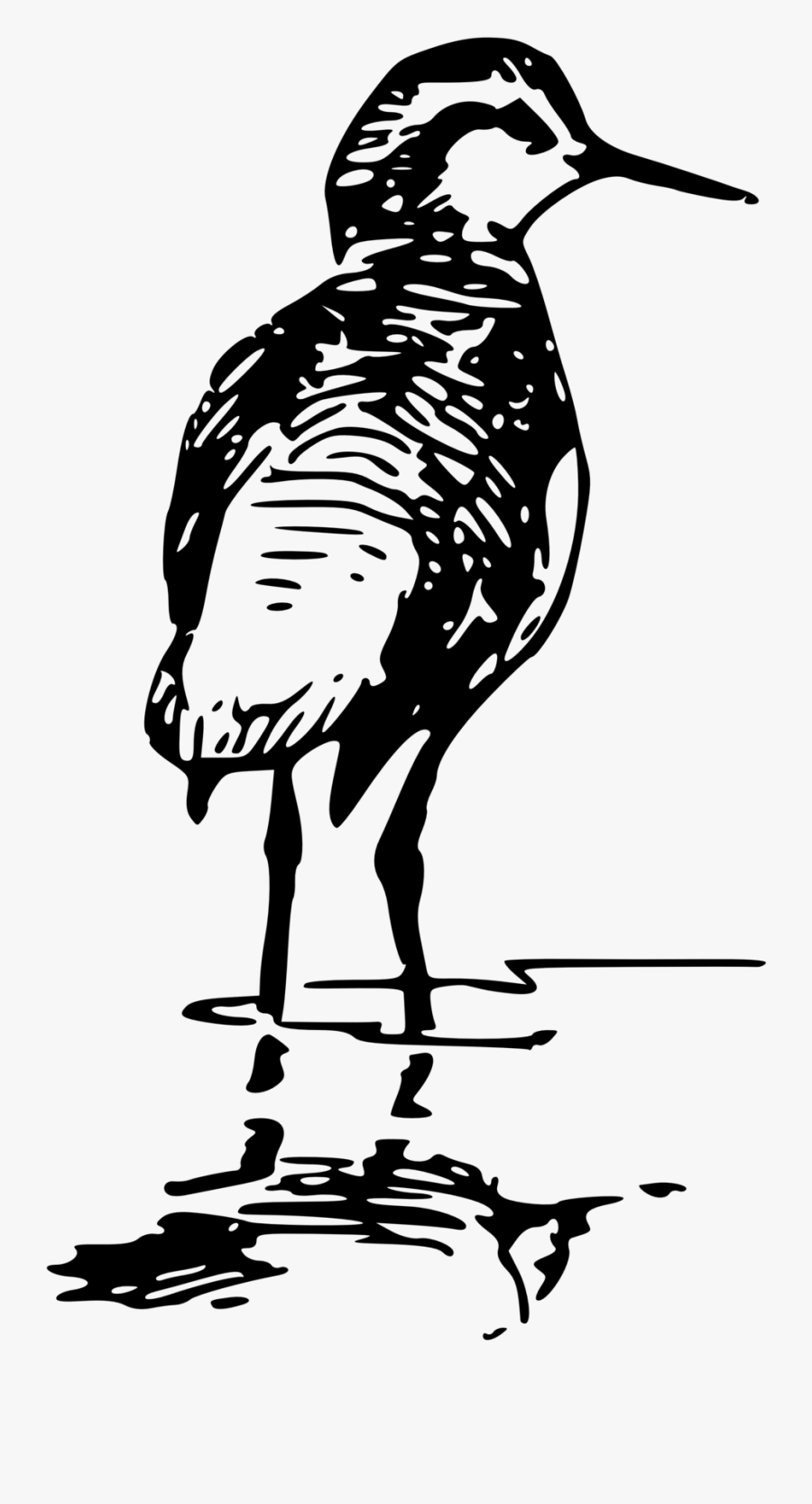 Clipart Water Bird Black And White, Transparent Clipart