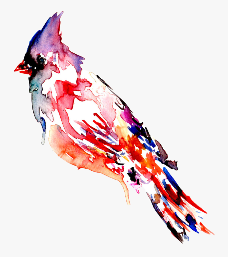 #cardinal #bird #art #birdart #rainbow #freetoedit - Cardinal In Water Color, Transparent Clipart