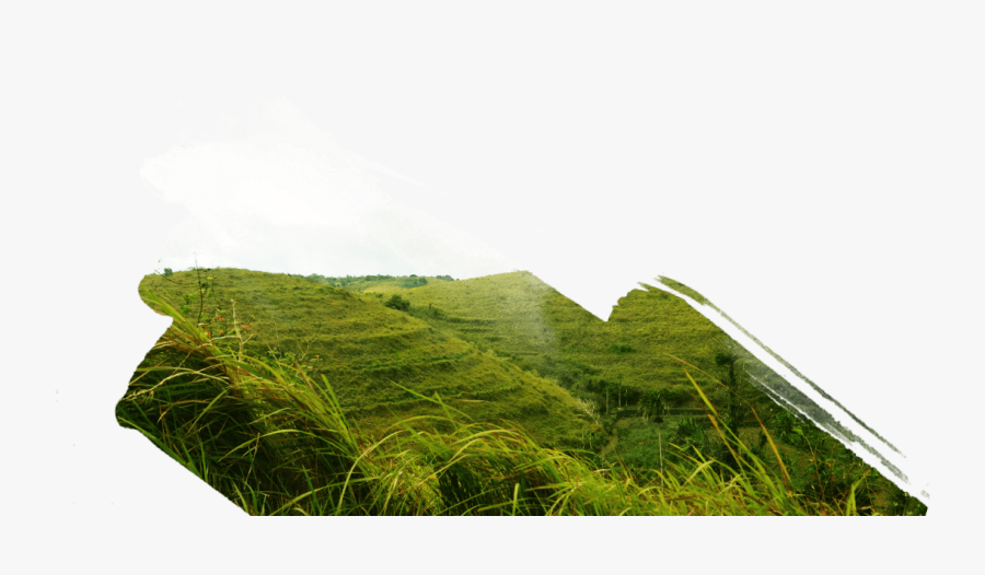 Among Limestone Hill And Reef In East Penida, You Can - Bukit Rumput Png, Transparent Clipart