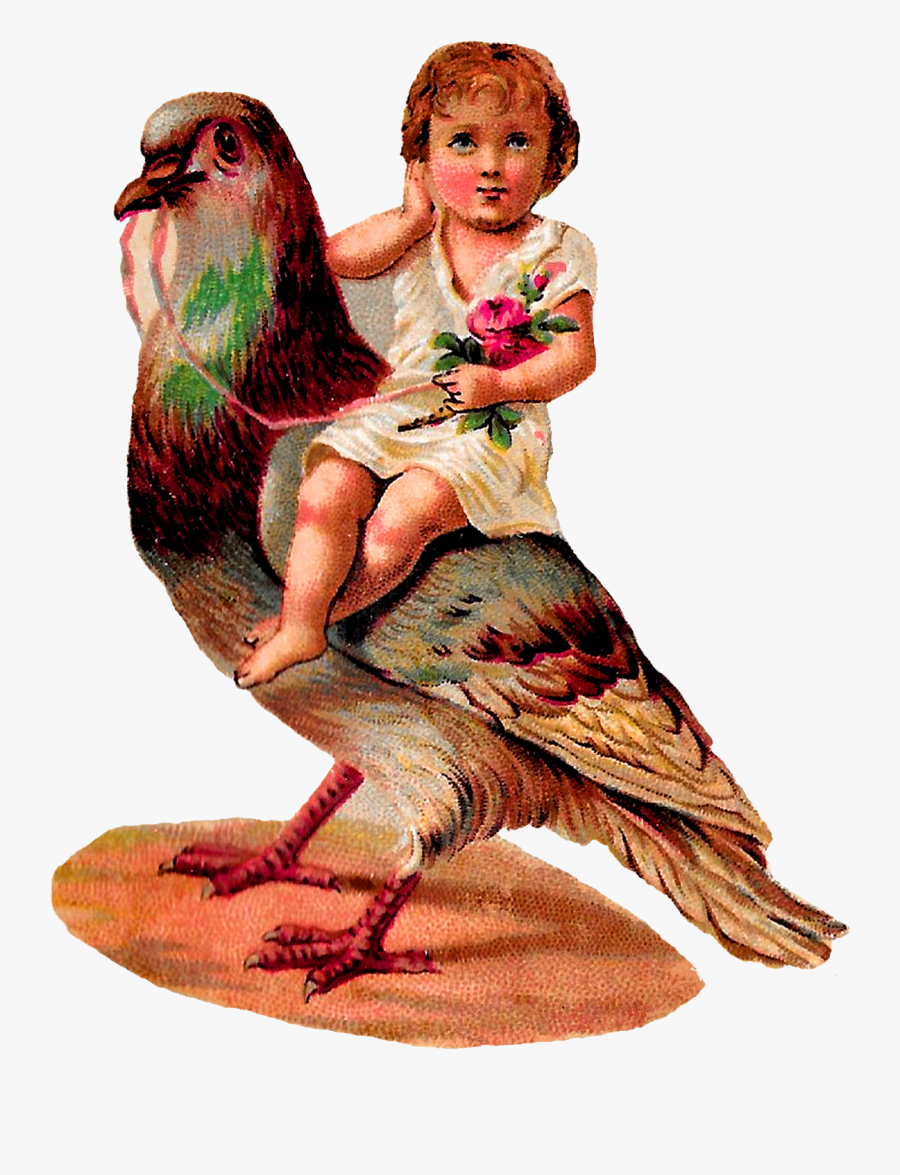 Transparent Vintage Bird Illustrations, Transparent Clipart