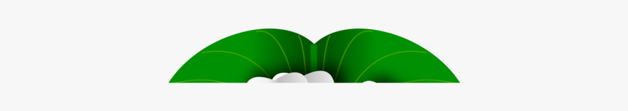 Plant,leaf,tree - Palm Tree, Transparent Clipart