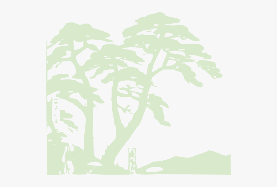 Rainforest Clipart Hostted - Illustration, Transparent Clipart