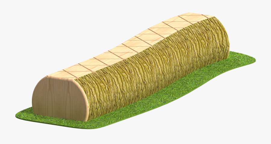 Tree Trunk Balance Beam - Hardwood, Transparent Clipart