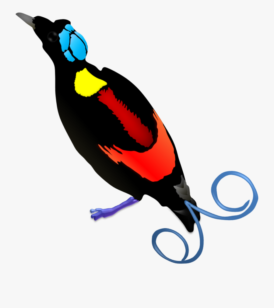 Clip Art Raggiana Bird Of Paradise - Chart On Adaptation In Animals, Transparent Clipart