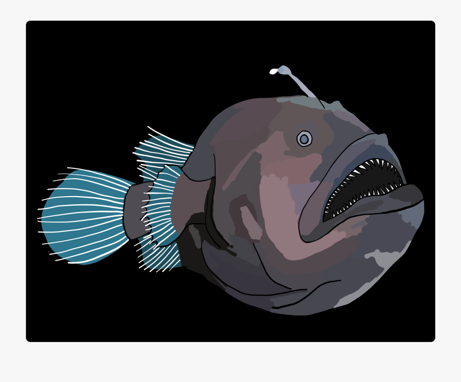 Anglerfish, Transparent Clipart