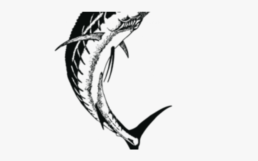 Sailfish Clipart Swordfish - Swordfish Drawing, Transparent Clipart