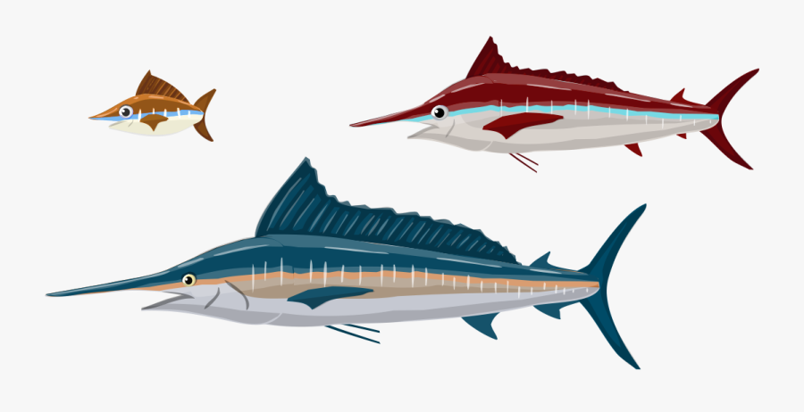 Image Description - Atlantic Blue Marlin, Transparent Clipart